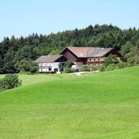 Apartment Bauernhof Vorderroid - Mon400 Oberhofen am Irrsee Экстерьер фото